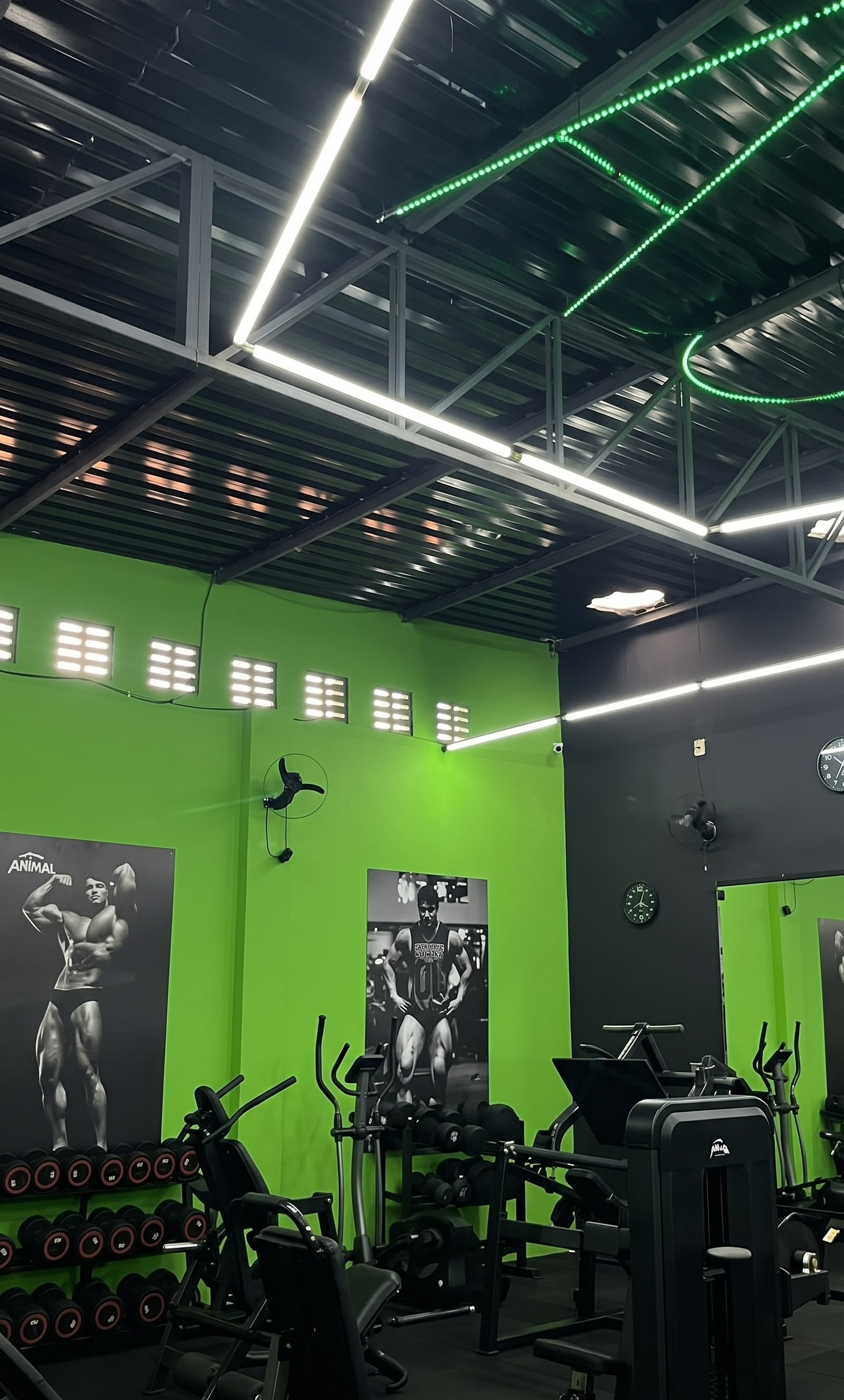 Área real de musculação e pesos livres da Academia Área 51